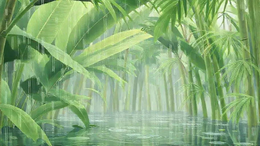 雨打芭蕉 - 天堂视频竹影清风影像