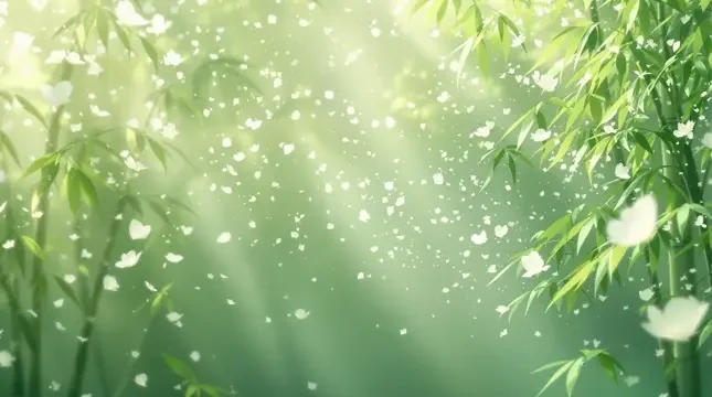 竹海晨雾 - 天堂视频竹影清风影像